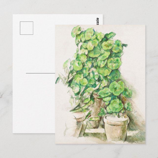Carte Postale Paul Cézanne Geraniums Encore Vie Botanique (Devant / Derrière)