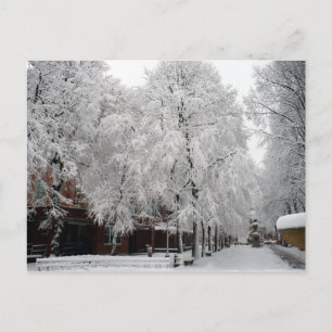 Carte Postale Paul Revere Mall Trees couverts de neige hivernale