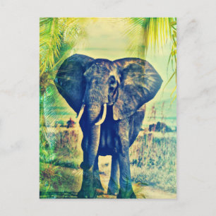 Carte Postale Paumes d'Éléphant