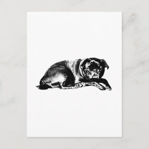 Carte Postale Pause Graphique, Bonne Nouvelle
