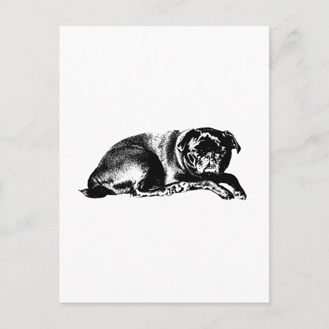 Carte Postale Pause Graphique, Bonne Nouvelle (Devant)