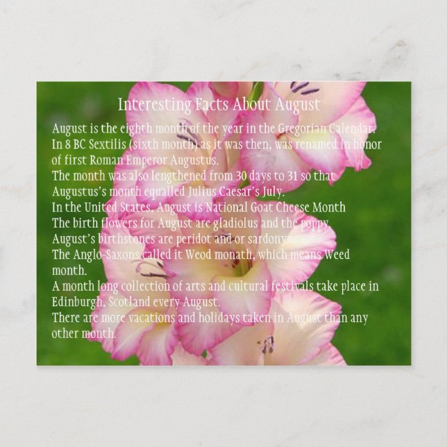 Carte Postale pavot (Devant)