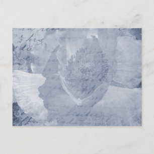 Carte Postale Pavot 2