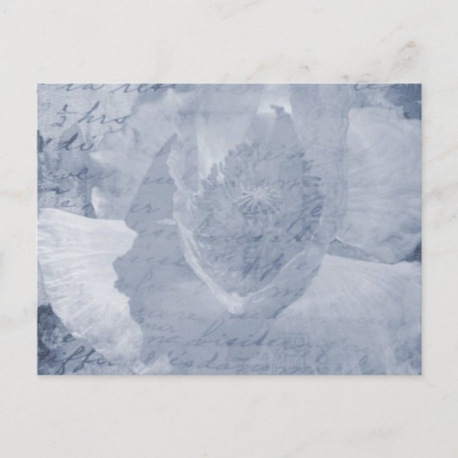 Carte Postale Pavot 2 (Devant)