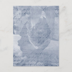 Carte Postale Pavot 2