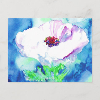 Carte Postale Pavot blanc.