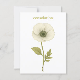 Carte Postale Pavot (blanc) — Consolation