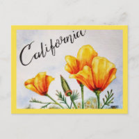 Pavot de Californie