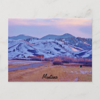 Carte Postale Paw de l'ours