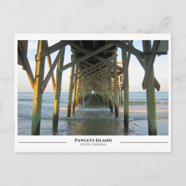 Carte Postale Pawleys Island - Caroline du Sud (Devant)