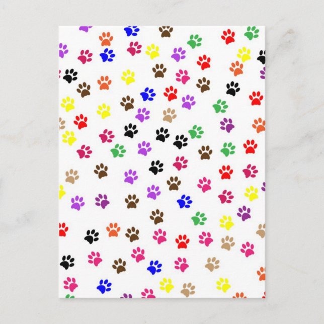 Carte postale Paws (Devant)