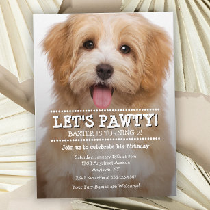 Carte Postale Pawty Pet Photo Fête d'anniversaire
