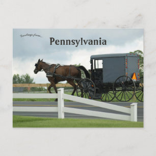 Carte Postale Pays Amish à Lancaster Pennsylvania