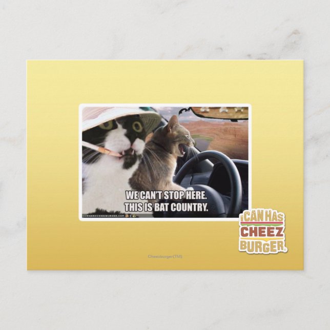 Carte Postale Pays chauve (Devant)