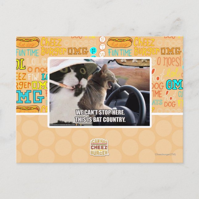 Carte Postale Pays chauve (Devant)