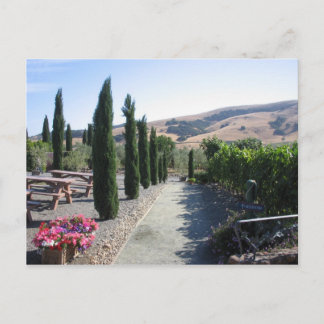 Carte Postale Pays de vin