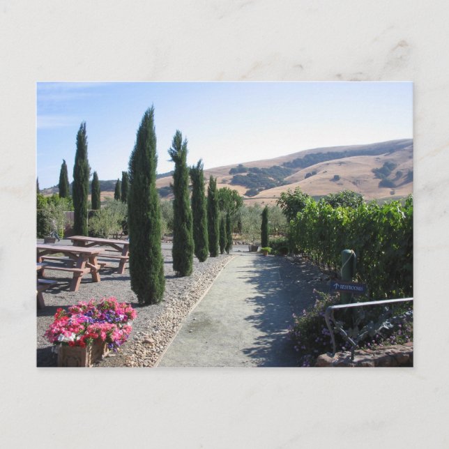 Carte Postale Pays de vin (Devant)