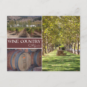 Carte Postale Pays des vins, Californie