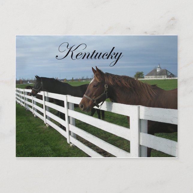 Carte Postale Pays du Kentucky Bluegrass (Devant)