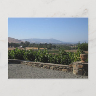 Carte Postale Pays du vin