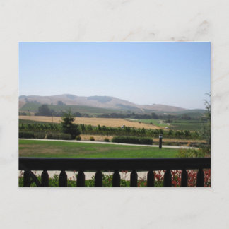 Carte Postale Pays du vin