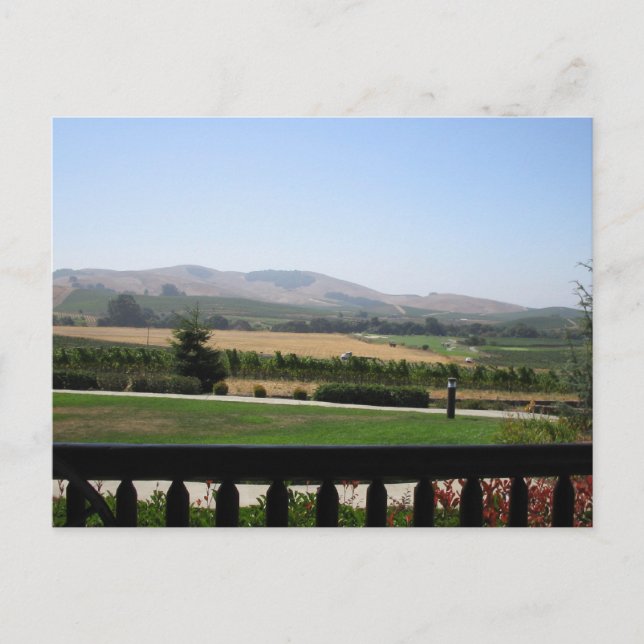 Carte Postale Pays du vin (Devant)