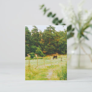 Carte Postale Pays suédois