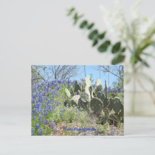 Carte postale Pays Texas Bluebonnets et Cactus