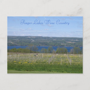 Carte Postale Pays vinicole des Finger Lakes