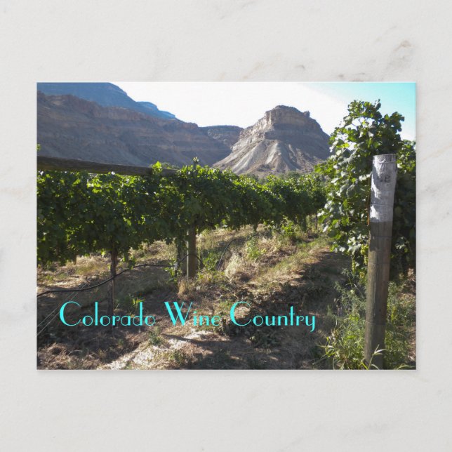 Carte Postale Pays viticole du Colorado (Devant)