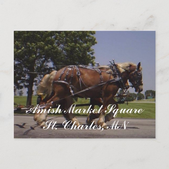 Carte Postale Paysage (Devant)