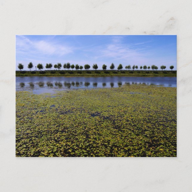 Carte Postale Paysage (Devant)