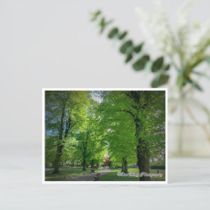 Carte postale Paysage 1