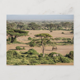 Carte Postale Paysage africain avec éléphant