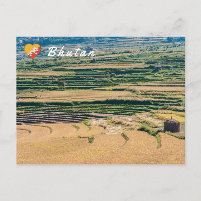 Carte Postale Paysage agricole du Bhoutan (Devant)