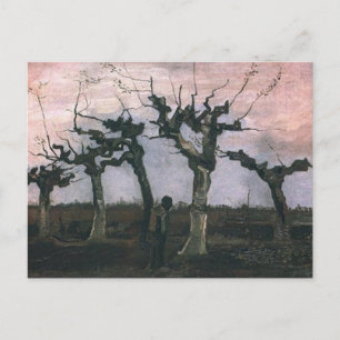 Carte Postale Paysage aux saules têtards