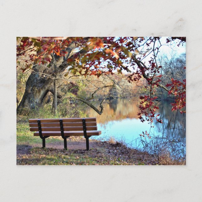 Carte Postale Paysage avec Bench Photo (Devant)