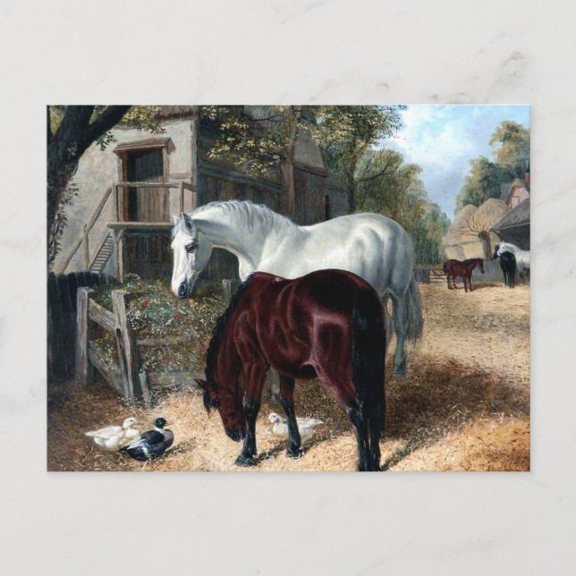 Carte Postale Paysage avec chevaux (Devant)