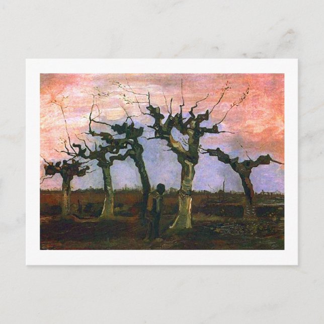 Carte Postale Paysage avec Pollard Willows, Vincent van Gogh (Devant)