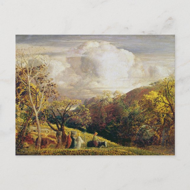 Carte Postale Paysage, chiffres et bétail (Devant)
