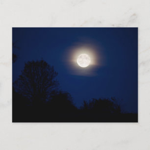 carte postale paysage clair de lune
