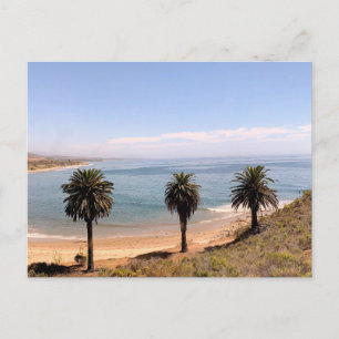 Carte Postale Paysage côtier aux palmiers Photographie originale