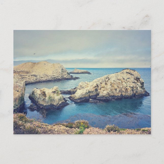 Carte Postale Paysage côtier de Point Lobos (Devant)