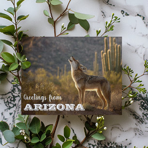 Carte Postale Paysage coyote d'Arizona Cactus Désert 