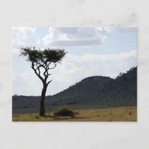 Carte Postale paysage d'arbres solitaires