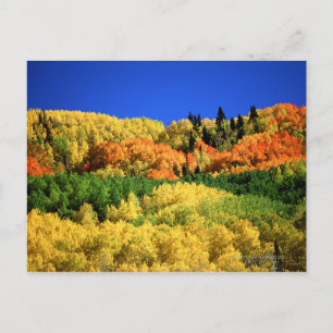 Carte Postale Paysage d'automne