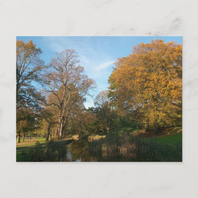 Carte Postale Paysage d'automne Bute Park Cardiff (Devant)