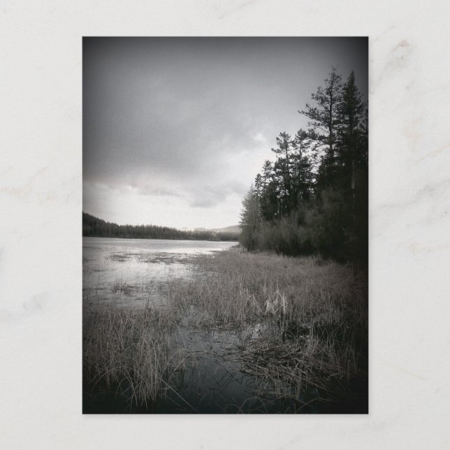 Carte Postale Paysage de B&W Lake Marsh (Devant)
