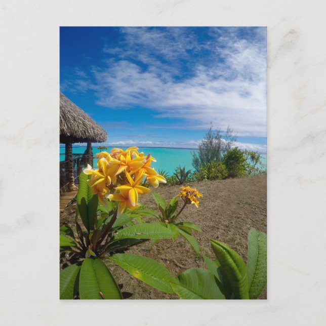 Carte Postale Paysage de bora bora (Devant)