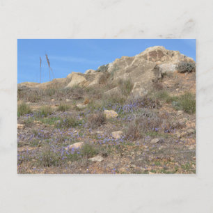 Carte postale Paysage de Chypre